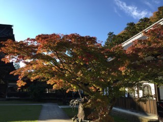 Autumn leaves of Sojiji Temple